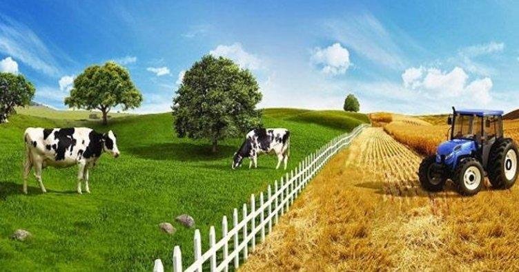 Tarımı holdingle bitirecekler