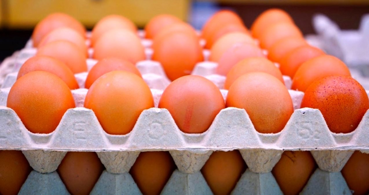 Yumurtada ihracat sıkıntısı.